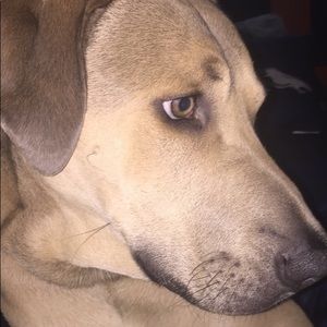 Meet your Posher, Hapt